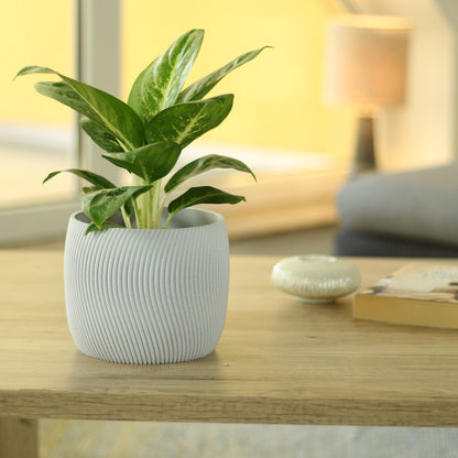 Dekorativer Blumentopf Twista