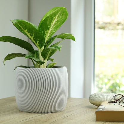 Dekorativer Blumentopf Twista