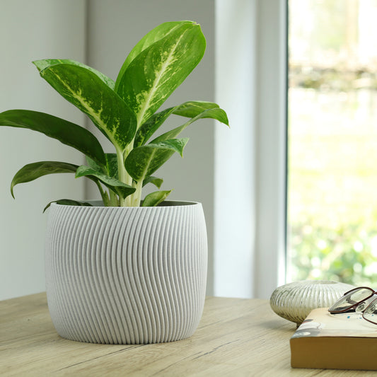 Dekorativer Blumentopf Twista