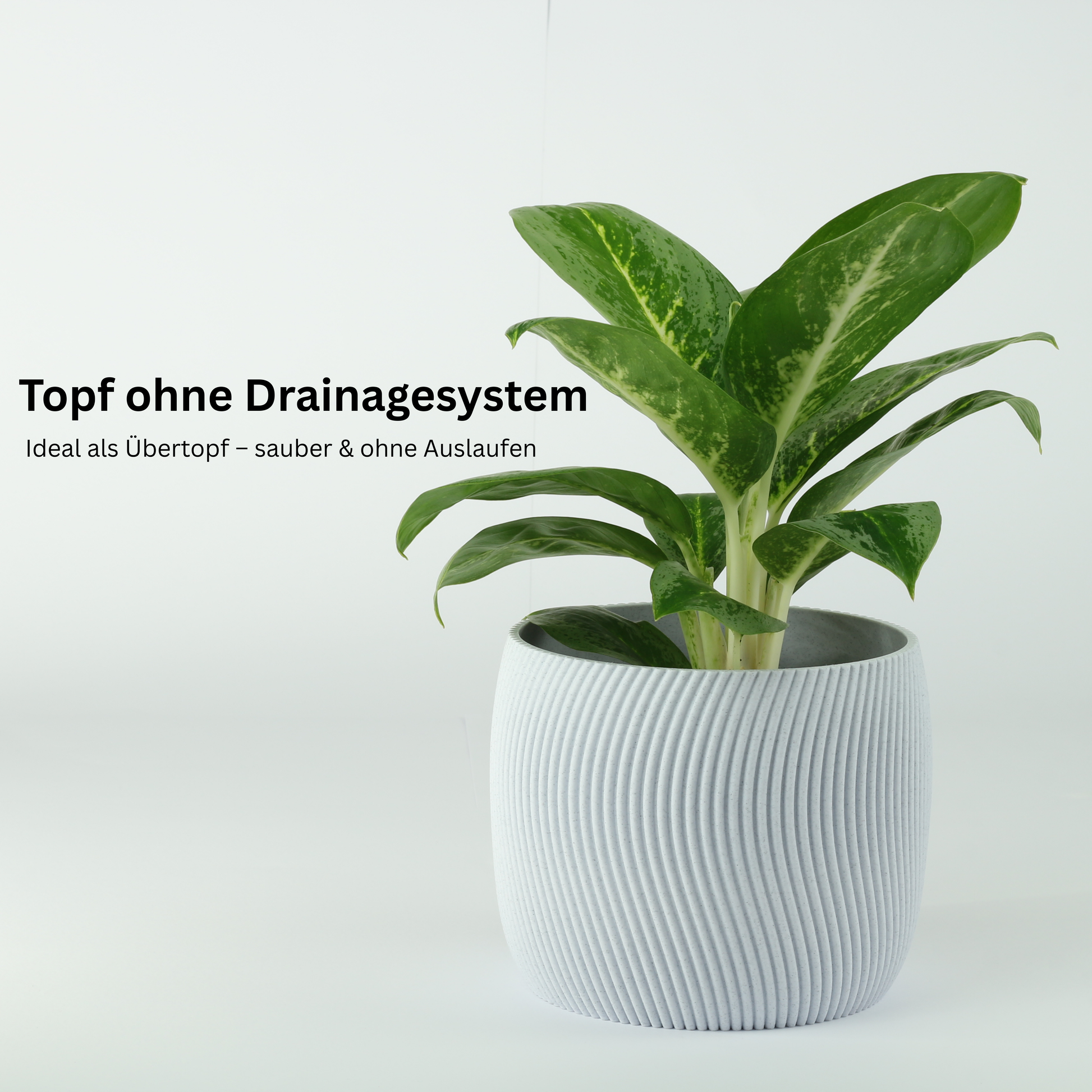 drainage-nein