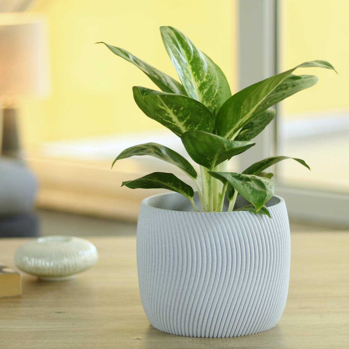 Dekorativer Blumentopf Twista