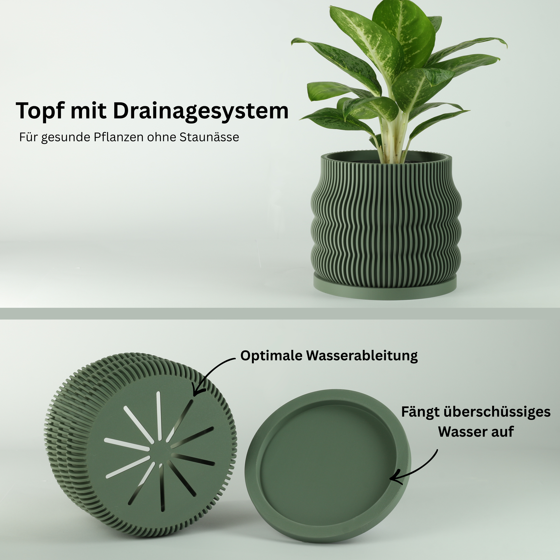 drainage-ja
