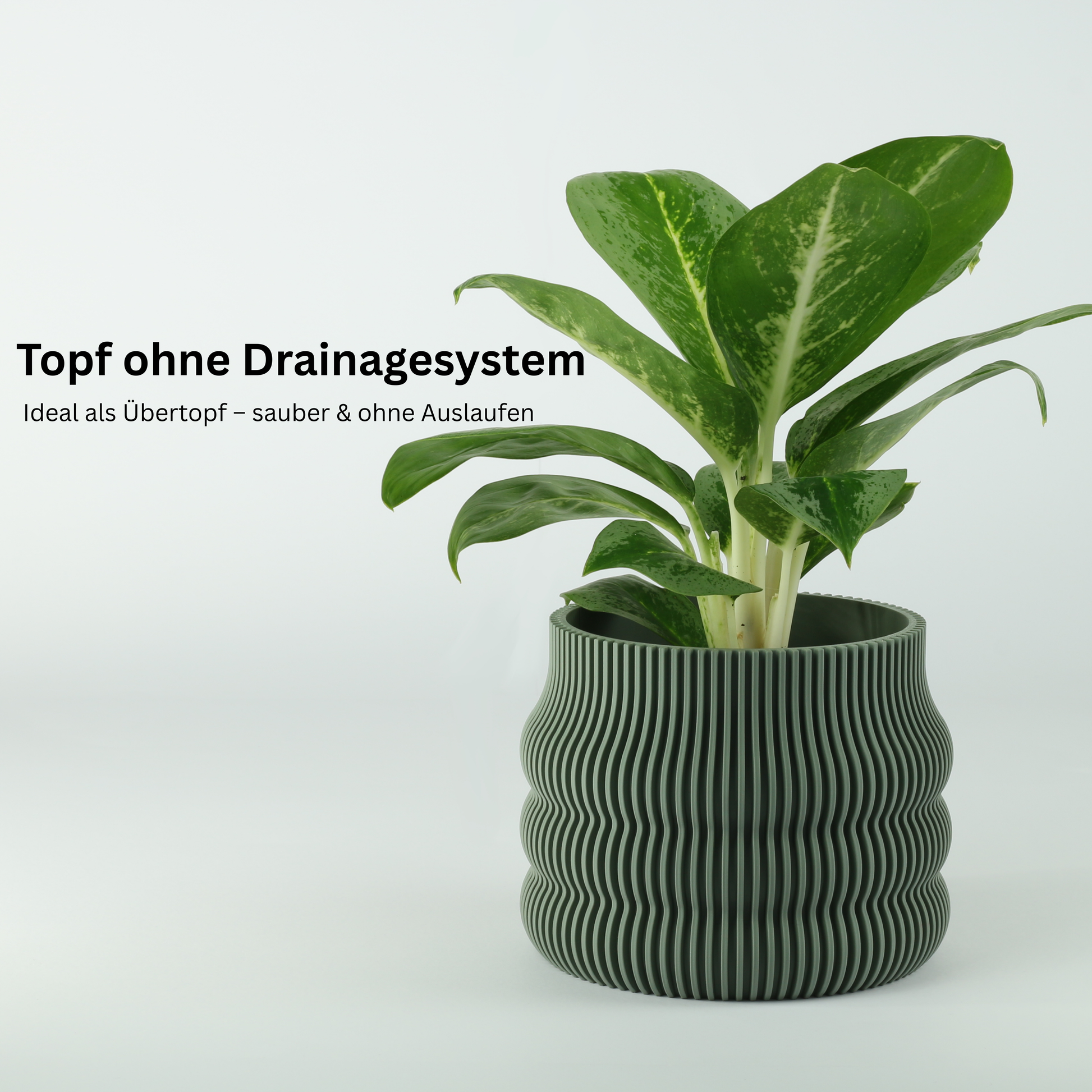 drainage-nein