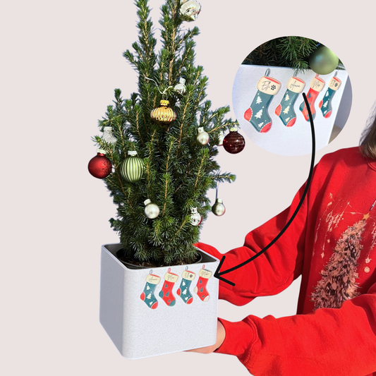 personalisierter blumentopf, weihnachtsgeschenk, personalisierte socken, weihnachtsdeko, familiengeschenk, weihnachtsblumentopf, geschenkidee weihnachten, personalisiertes geschenk, geschenk für familie, geschenk für paare, weihnachten zuhause, individuelle deko, weihnachtstopf, geschenk für mama, geschenk für oma, personalisierte weihnachtsdeko, name auf socke, personalisierter topf, festliche dekoration, handmade christmas, unikates geschenk, personalisierte geschenke, winter deko, blumentopf weihnachten,