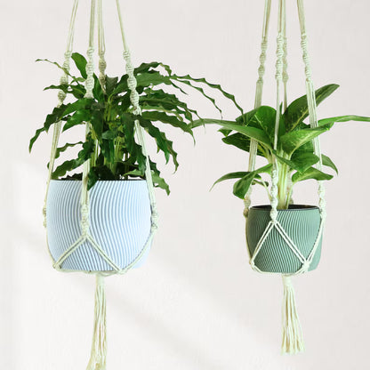 Makramee Blumenampel mit Blumentopf Twista