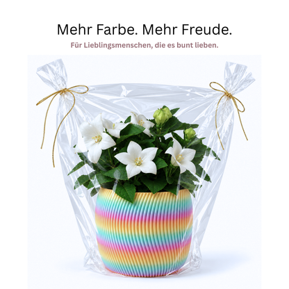 Design Blumentopf Regenbogen