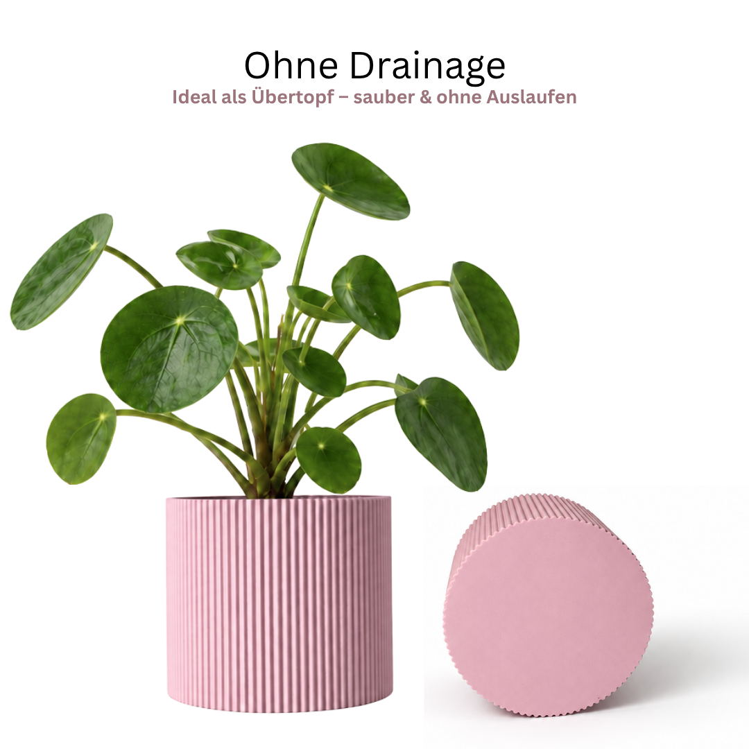 YANDUS-OPTION:Drainagesystem=ohne Drainage